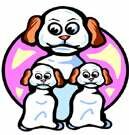 republic-puppies.jpg