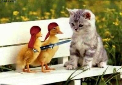 ghetto-chicks.jpg
