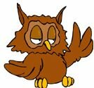 owlss.jpg